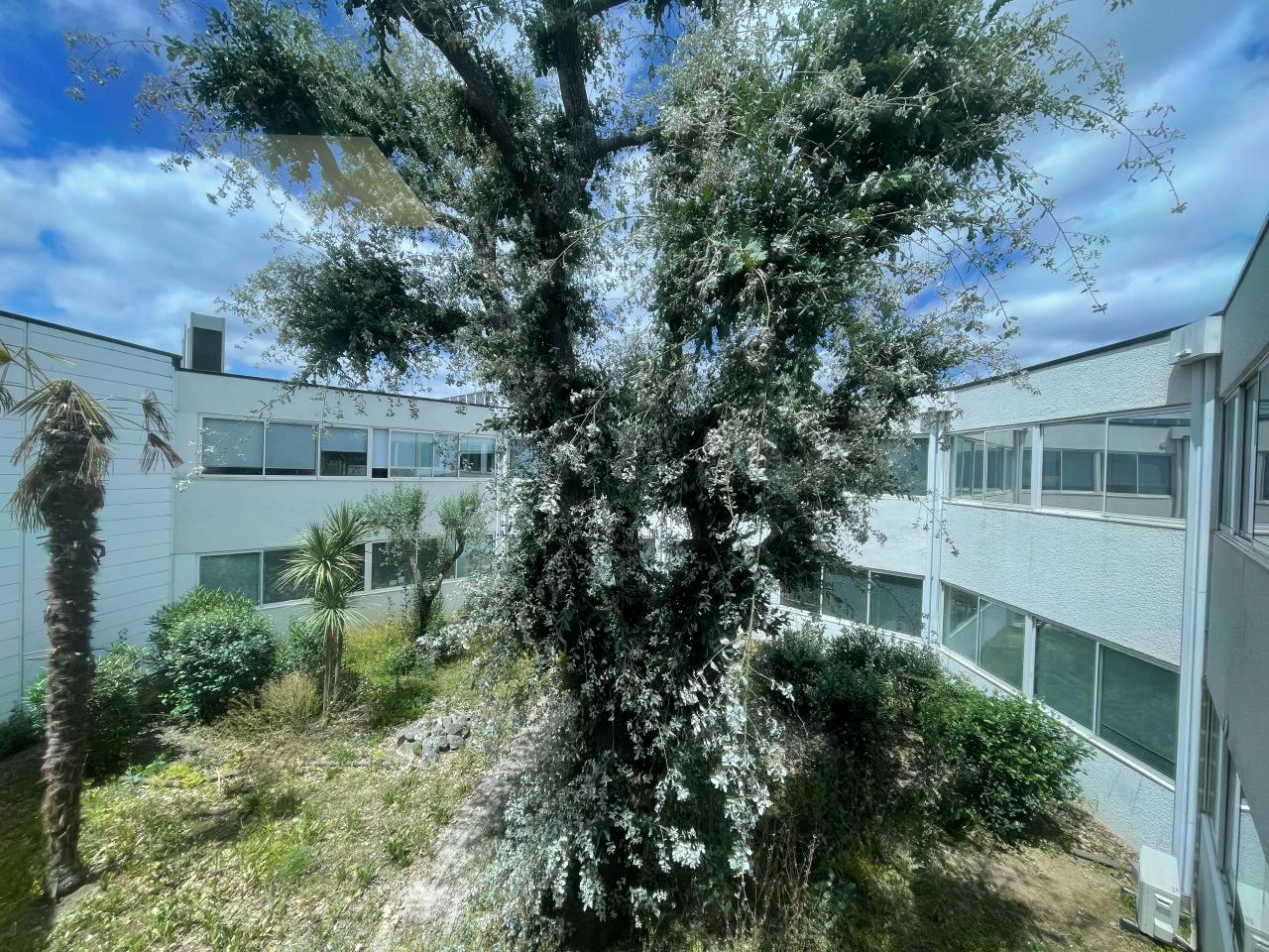 Bureau Toulouse 1085m² Vente bureau Toulouse Haute-Garonne OVBUR2532454 12
